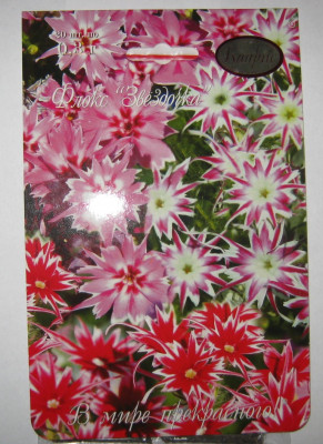 ФЛОКС ЗВЕЗДОЧКА (20 ПАКЕТОВ) 