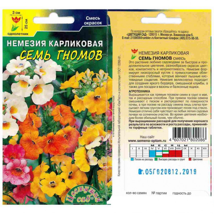 Цветы немезия фото и описание сорта