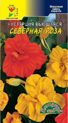 НАСТУРЦИЯ ВЬЮЩАЯСЯ СЕВЕРНАЯ РОЗА 