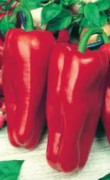 ПЕРЕЦ СЛАДКИЙ ДЕНИС 5ШТ