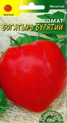 ТОМАТ БОГАТЫРЬ БУРЯТИИ 