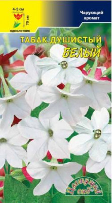 ТАБАК ДУШИСТЫЙ БЕЛЫЙ 