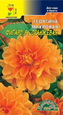 ГЕОРГИН ФИГАРО ОРАНЖ 