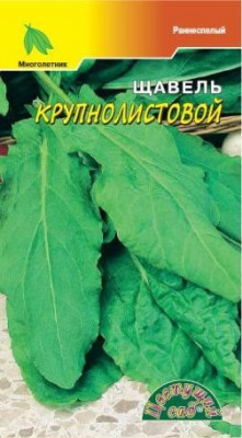 ЩАВЕЛЬ КРУПНОЛИСТОВОЙ 