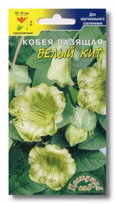 КОБЕЯ БЕЛЫЙ КИТ 