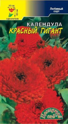 КАЛЕНДУЛА КРАСНЫЙ ГИГАНТ 