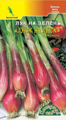 ЛУК НА ПУЧОК КРАСНЫЙ 