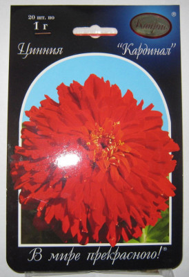 ЦИНИЯ КАРДИНАЛ 