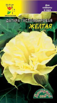 ДАТУРА ЖЕЛТАЯ 