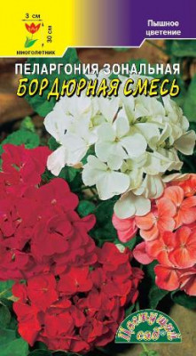 ПЕЛАРГОНИЯ БОРДЮРНАЯ СМЕСЬ 